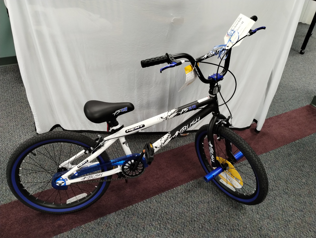 image of a kid's bike in blue and white