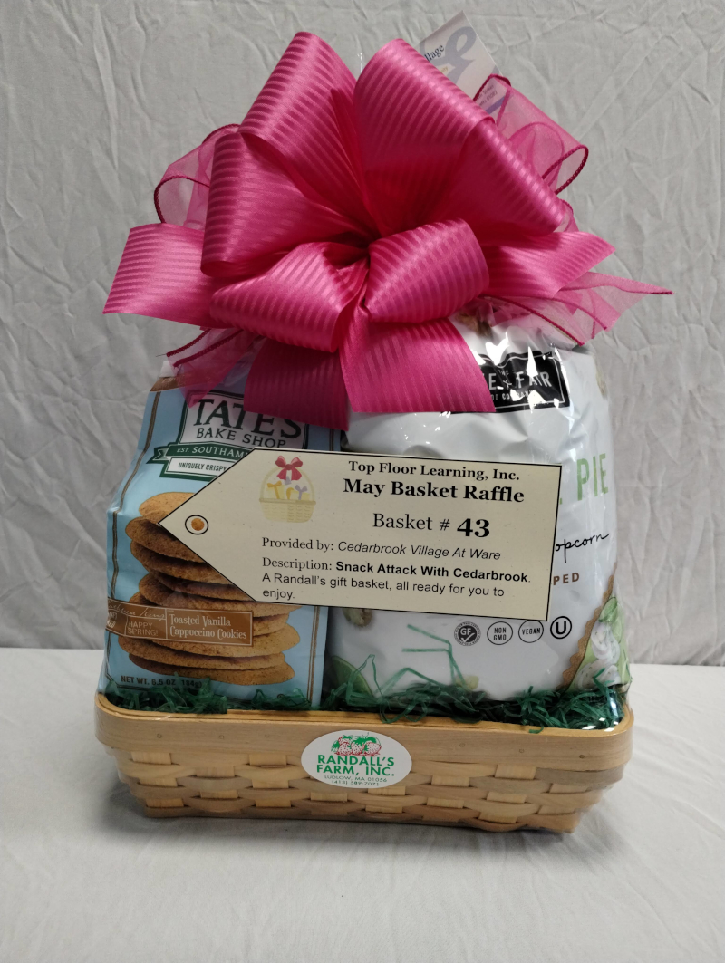 image of a shrink-wrapped basket full of snack goodies such as chips, cookies, salsa, etc